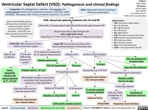 Ventricular Septal Defect (VSD): Pathogenesis and clinical findings ...