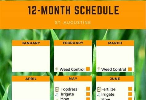 St. Augustine Lawn Care Fertilizer Schedule (Free Printable)