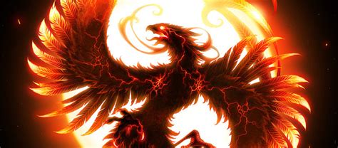 Mythical Phoenix Artwork: A Creature Design Gallery