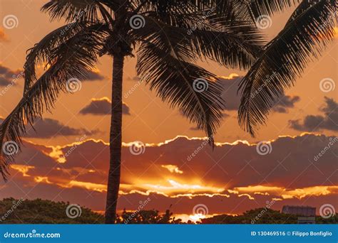 20181029 Sunrise on the Beach - a New Dawn Stock Photo - Image of dawn ...