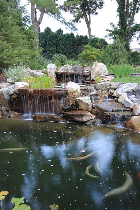 The Essentials of Koi Pond Design & Maintenance in Northern Virginia