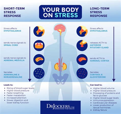 The 11 Most Common Keto Side Effects - DrJockers.com