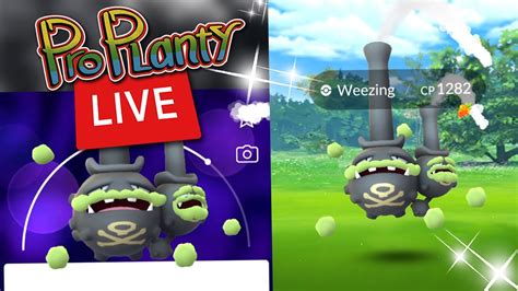 Pokemon Images: Galarian Weezing Pokemon Go Max Cp