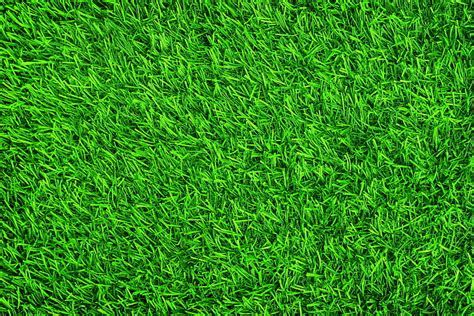 HD wallpaper: view of green lawn, lawn, grass, grass, green, summer ...