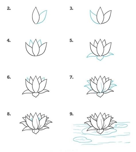 Easy flowers to draw - step-by-step tutorials + pictures - archziner.com