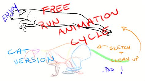 by NorthernRed - cat run cycle | Animation tutorial, Animation drawing ...