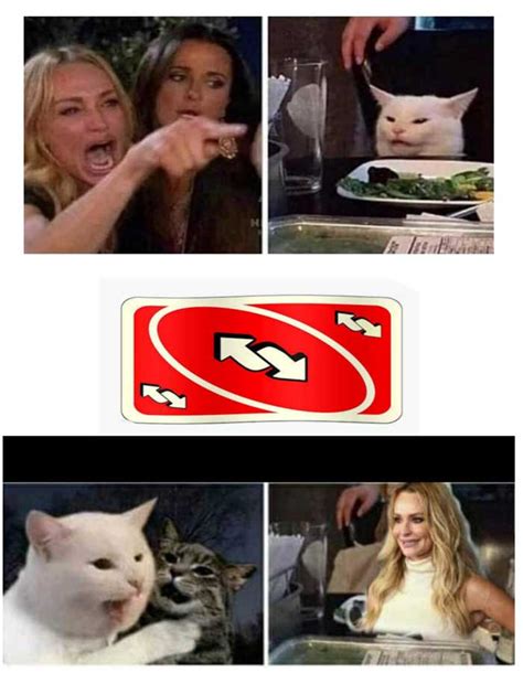 66 'Woman Yelling at a Cat' Memes That Still Slap in 2021 - Funny ...