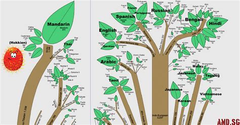 The Root of All Human Languages - angmohdan.com