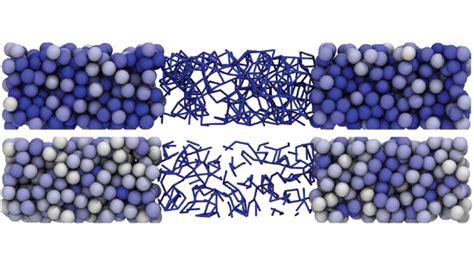 New images lead to better prediction of shear thickening | College of ...