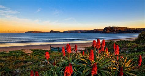 Umina beach, central coast, NSW | http://www.viewretreats.com/central ...