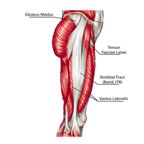 Is it worth foam rolling your ITB? — Kinfolk Physiotherapy & Wellness