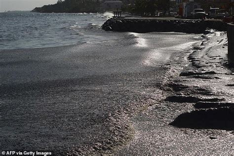 Beauty spot beaches on Tobago island are turned black after ship runs ...