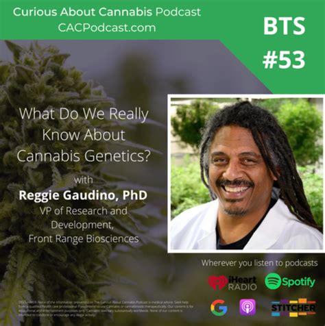 What Do We Really Know About Cannabis Genetics?