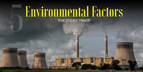 5 Environmental Factors that Impact Health