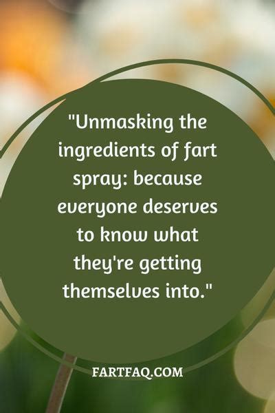 Unmasking the Ingredients: What Is Fart Spray Made Of? - Fart FAQ