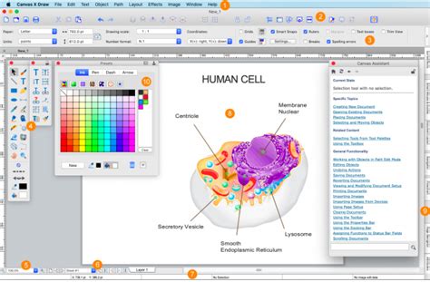 Canvas X Draw Software Reviews, Demo & Pricing - 2024