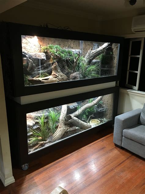 Pin by Jacob rodey on aquarium/vivarium | Reptile terrarium, Reptile ...