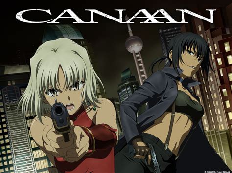 where to watch canaan anime - vanloonanimalhospital