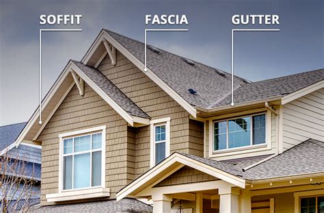 Role of a fascia