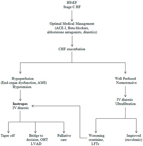 Inotropic effects on the heart