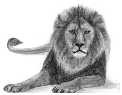 The lion symbolizes strength, courage and leadership. An ancient symbol ...