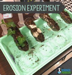 160 Weathering and erosion ideas | weathering and erosion, 4th grade ...