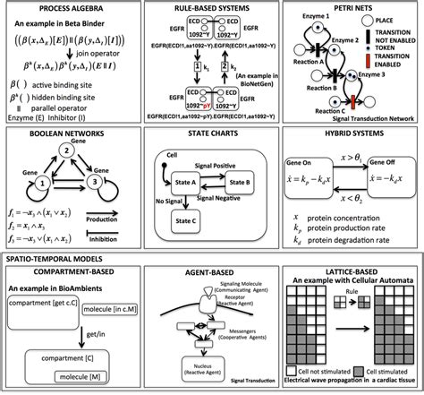 Most relevant examples of computational modeling approaches introduced ...