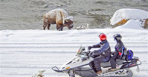 Jackson Hole & Yellowstone Snowmobile Tours - Jackson Hole, WY