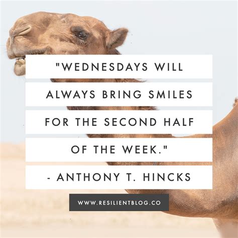 20+ Wednesday Quotes for a Happier Hump Day | Wednesday quotes, Hump ...