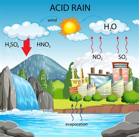 Acid Rain | Climate & Weather