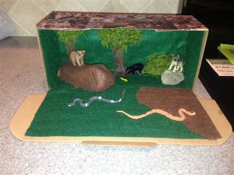 Diorama, Habitats projects, Habitats