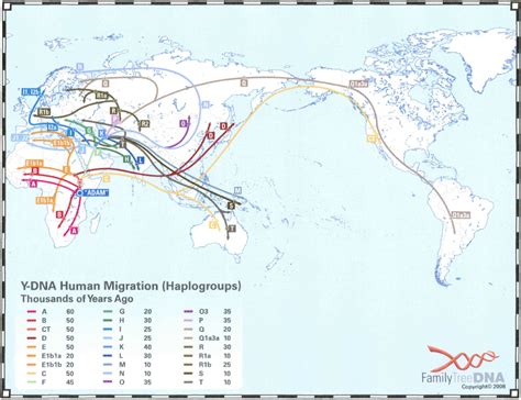 Haplogroup Migration Map - Phillips DNA Project