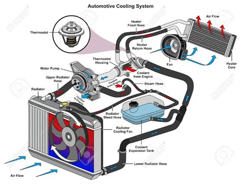 Automotive Cooling System Infographic Diagram Showing Process.. Royalty ...