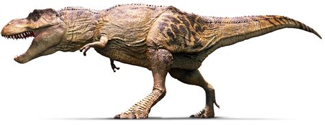 Tyrannosaurus | Tyrannosaurus Rex Facts | DK Find Out