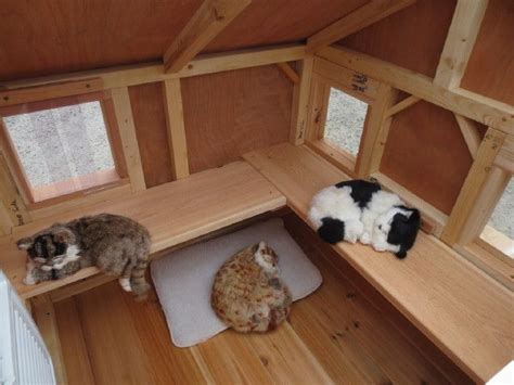 Heated Pet Houses Multiple Cats | Luxury Lounging Hideout For One or ...