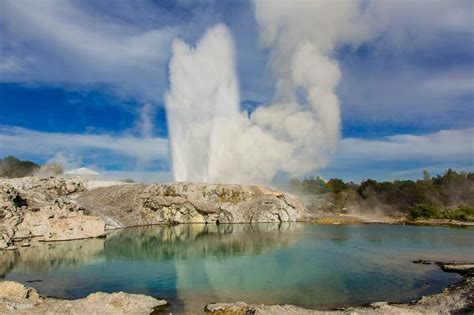 Wisata Sehari Te Puia Geothermal Valley dari Auckland - Klook Indonesia