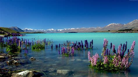 Wallpaper Lake Tekapo, New Zealand, mountains, 4k, Travel http ...