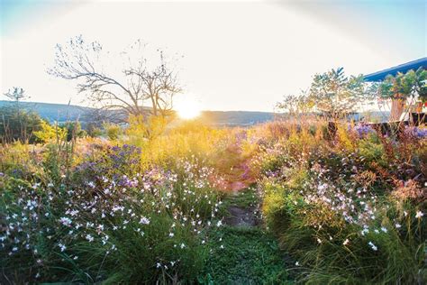 Wildflower Meadow Landscape Design - Flower Magazine