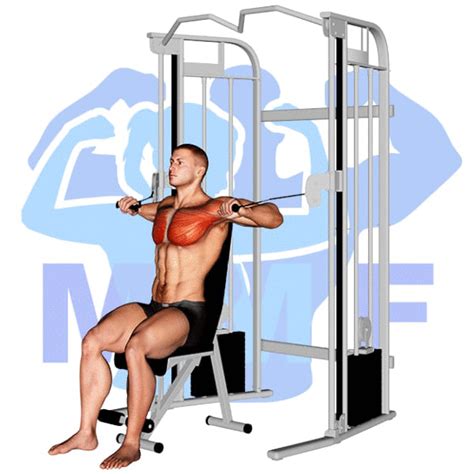 Cable Chest Press: Great Compound Exercise For Power And Speed