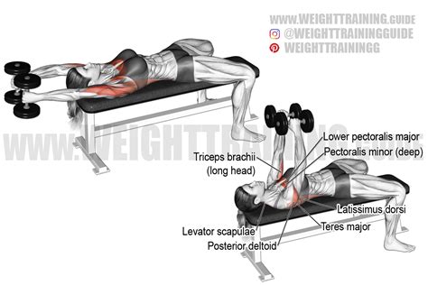 Overhead Dumbell Pull