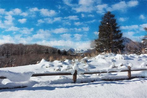 Winter Wonderland - Aspen Photograph by Kim Hojnacki - Fine Art America