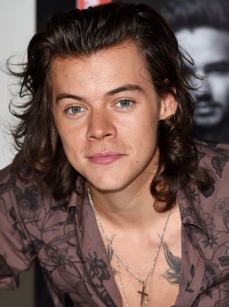 2) Harry Styles - Sexy Pop Stars: The HOTTEST Male Singers Of 2014 ...