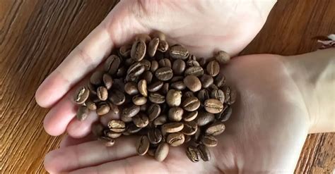 10 Best Single Origin Coffee Beans: Taste a Terroir's Essence