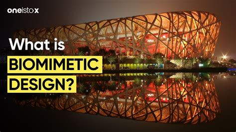 What is Biomimetic Design? - YouTube