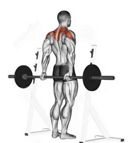 How to Do Shrugs Exercise Proper Form, Technique