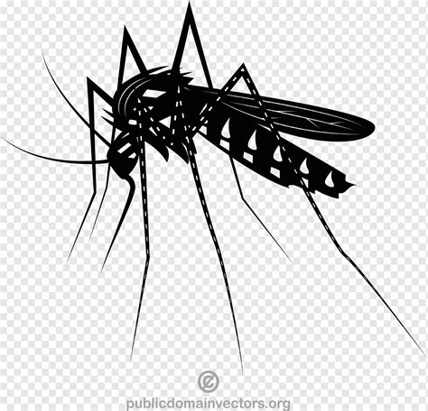 Mosquito black and white, png | PNGWing