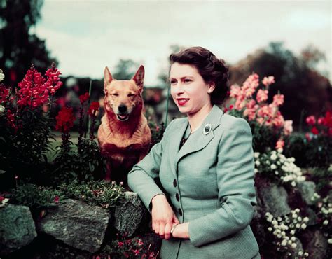 Queen Elizabeth Reportedly Got a New Corgi Puppy for Her 95th Birthday ...