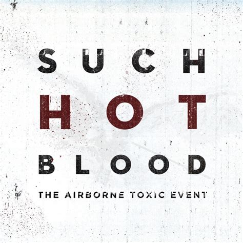 Sometime Around Midnight - The Airborne Toxic Event | Shazam