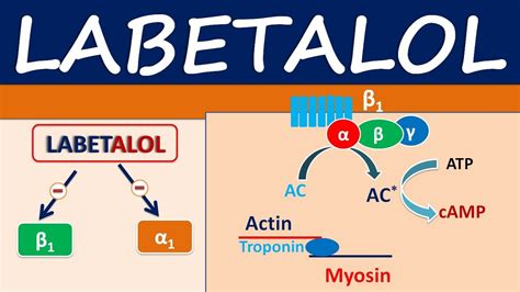 Labetalol - An alpha and beta blocker for hypertension - YouTube