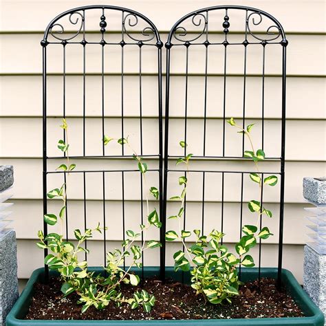 Sunnydaze 32-Inch Traditional Garden Trellis, Metal Wire for Climbing ...